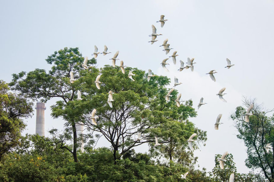 1518837791690747906.jpg 1518837791690747906.jpg